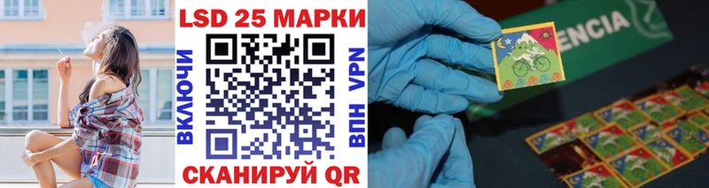 мега как войти  Петровск  Марки N-bome 1500мкг 