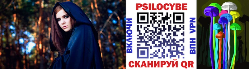 Псилоцибиновые грибы Cubensis  Петровск 